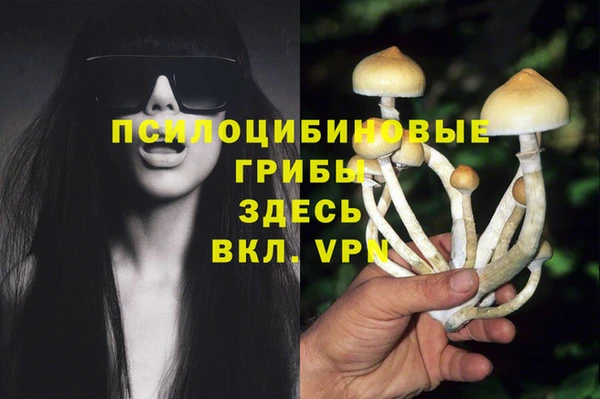 мескалин Абаза
