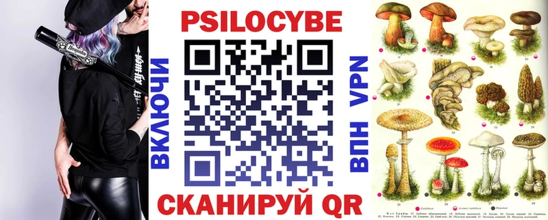 Псилоцибиновые грибы Magic Shrooms купить наркотики цена Тарко-Сале